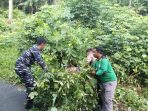 IMG-20240528-WA0045