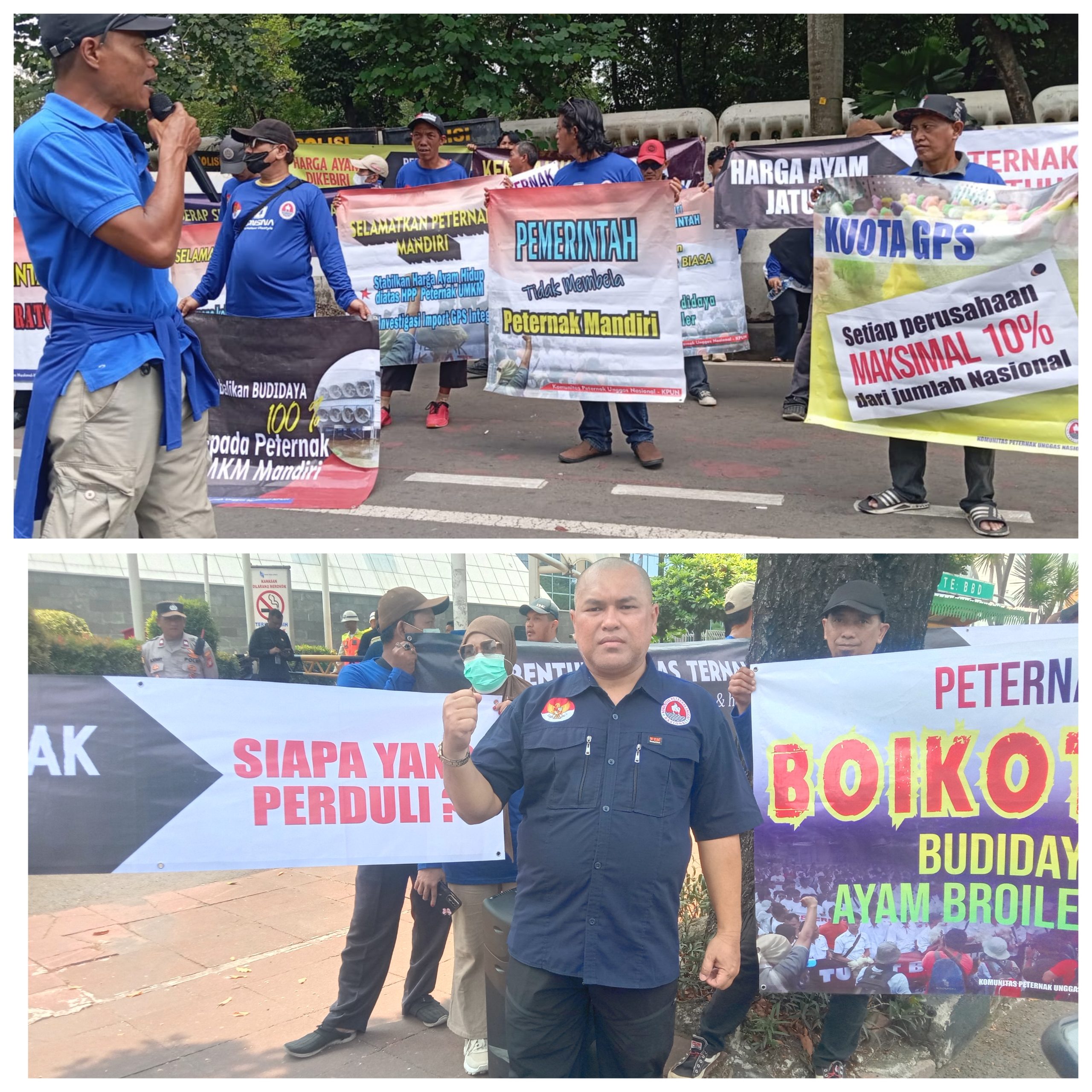 GridArt_20251009_124209888