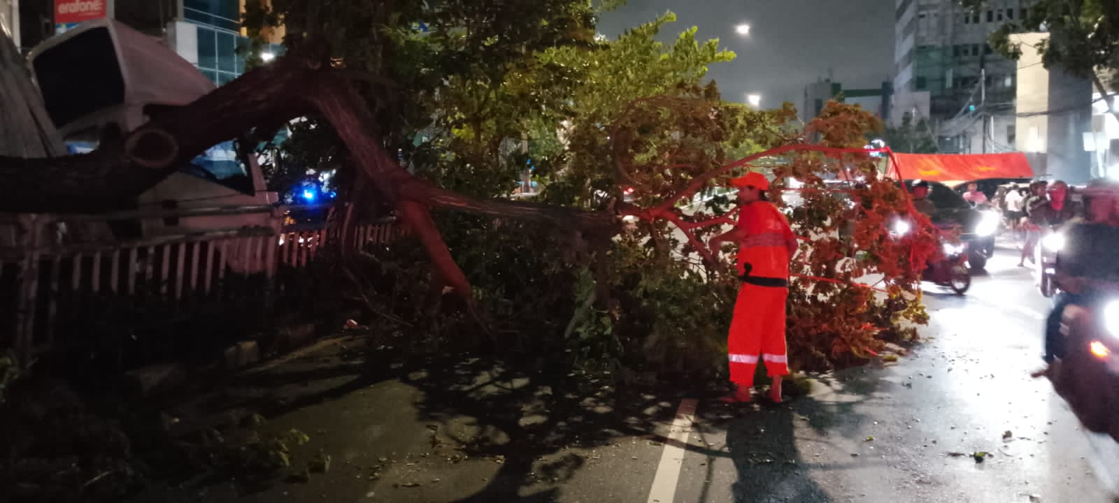 Gerak Cepat Polri, Tangani Kecelakaan Dan Pohon Tumbang Jalan Kembali Lancar